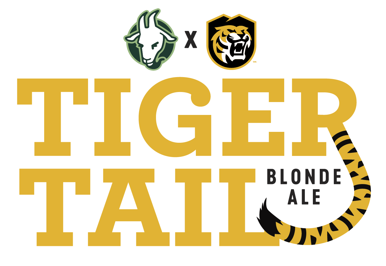 Introducing Tiger Tail Blonde Ale! The New CC Beer