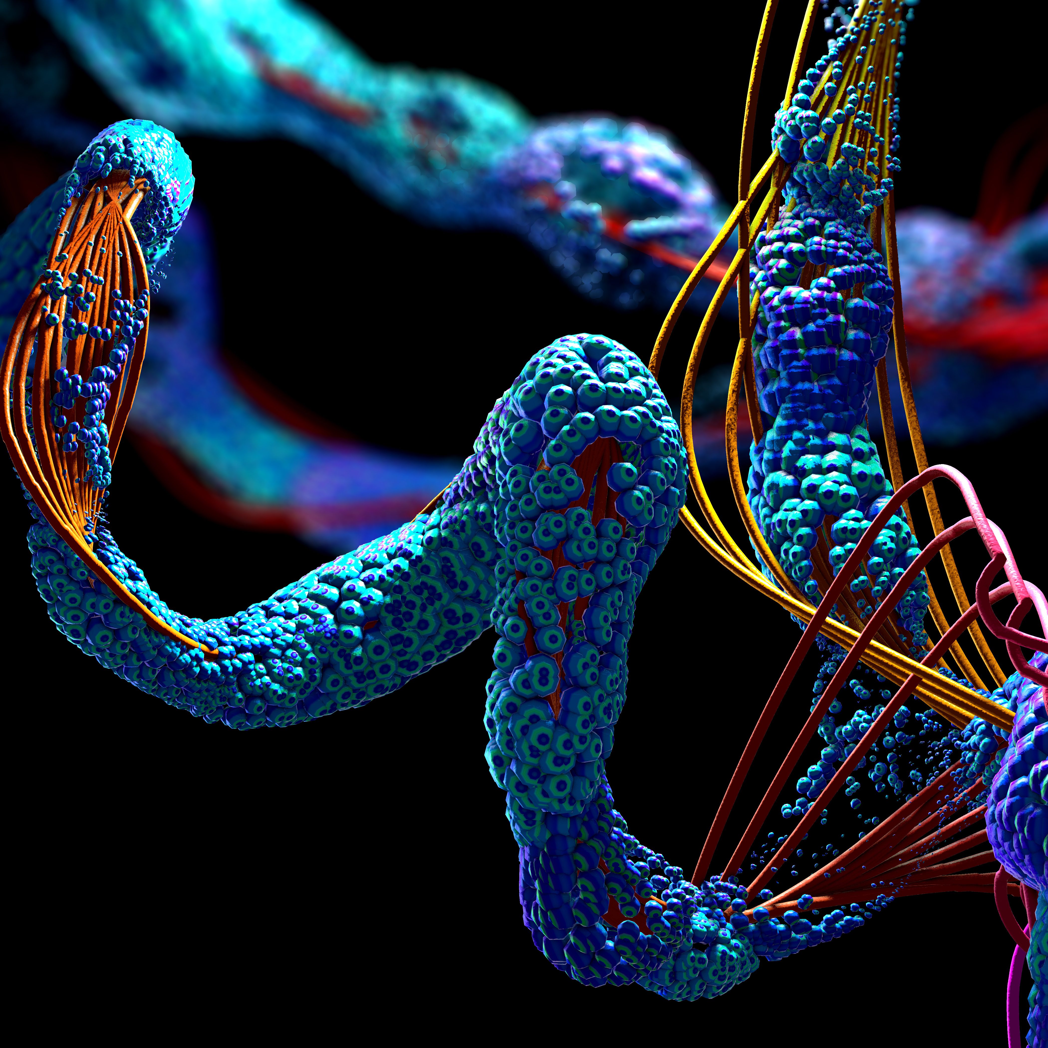 CH480 Protein Structure, Function, and Disease