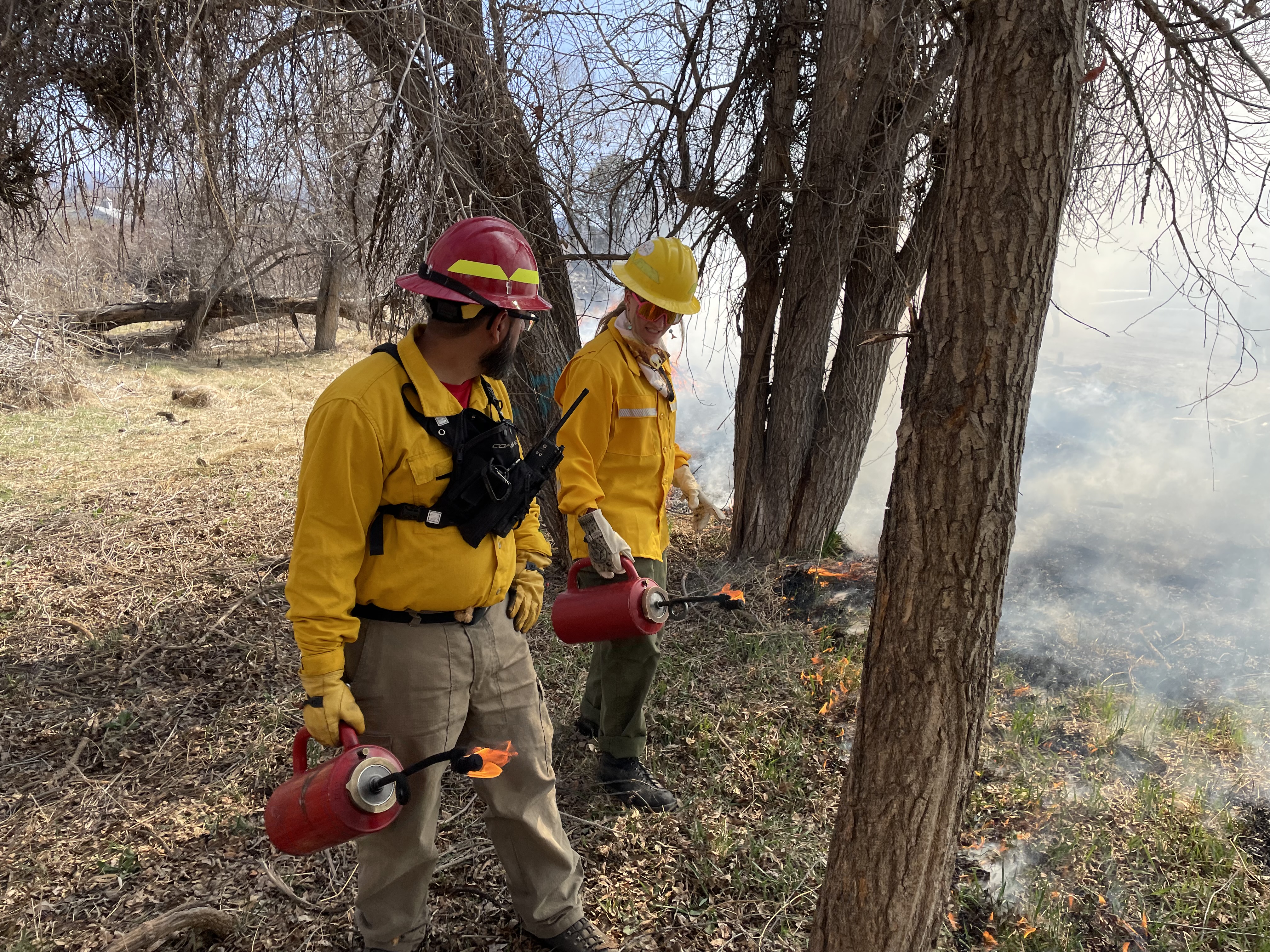Journalism Institute Students Earn Wildfire Certification